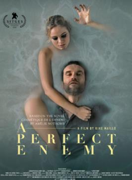 a perfect enemy, affiche